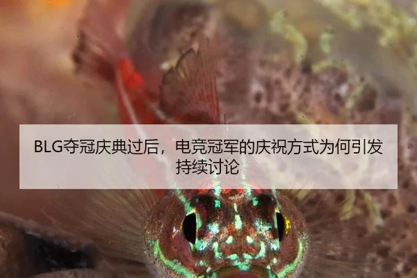 BLG夺冠庆典过后，电竞冠军的庆祝方式为何引发持续讨论